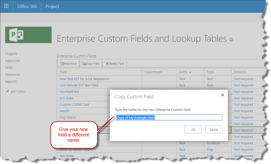 Give your copied enterprise custom field a new name.